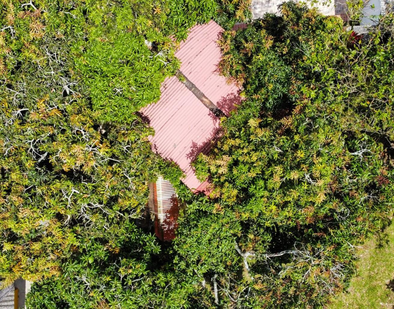 Finca Turistica Los Alpes Quimbaya Exteriér fotografie